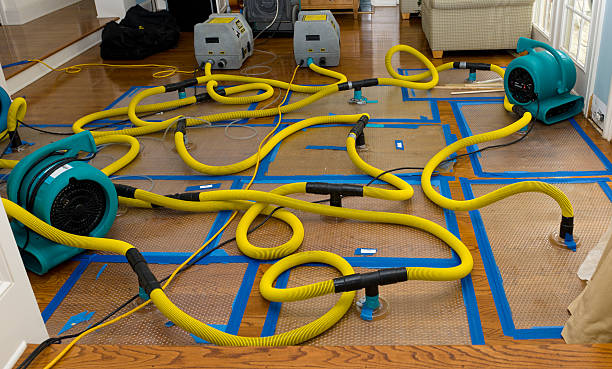 Professional Sewage Cleanup technician working in Pigeon Falls, WI